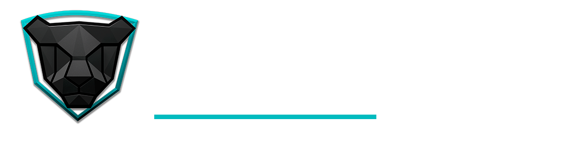 RELEASE by FELIS