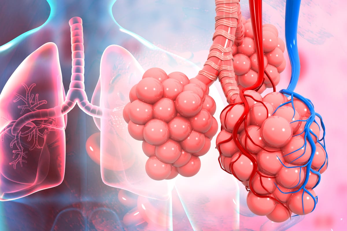Asthma and Sport Performance