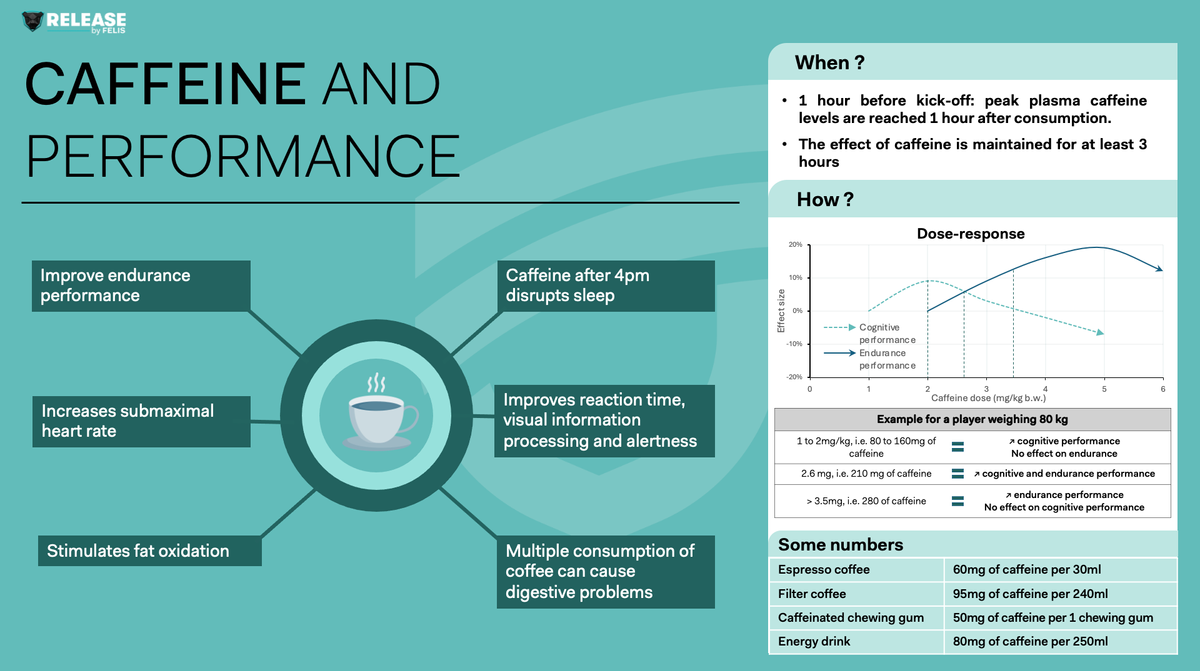CAFFEINE AND PERFORMANCE